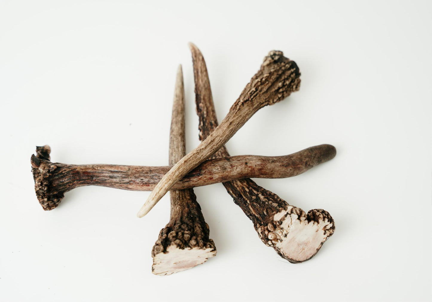 Dried Antlers 1 kg