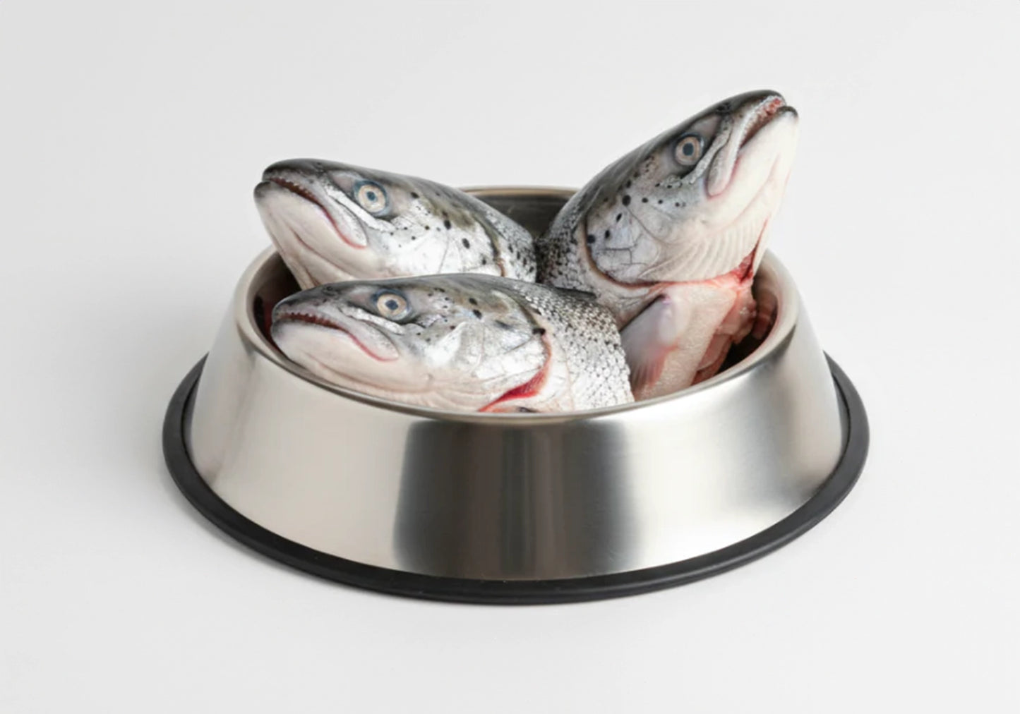Fish Head (Fresh)
