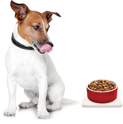 Tasmanian Pet Food The Pet Food Revolution